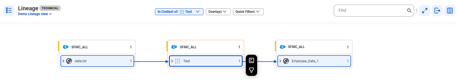 The data set level lineage diagram starts at the data.txt reference data set and shows how the data flows to the target Employee_Data_1 reference data set before connection assignment.