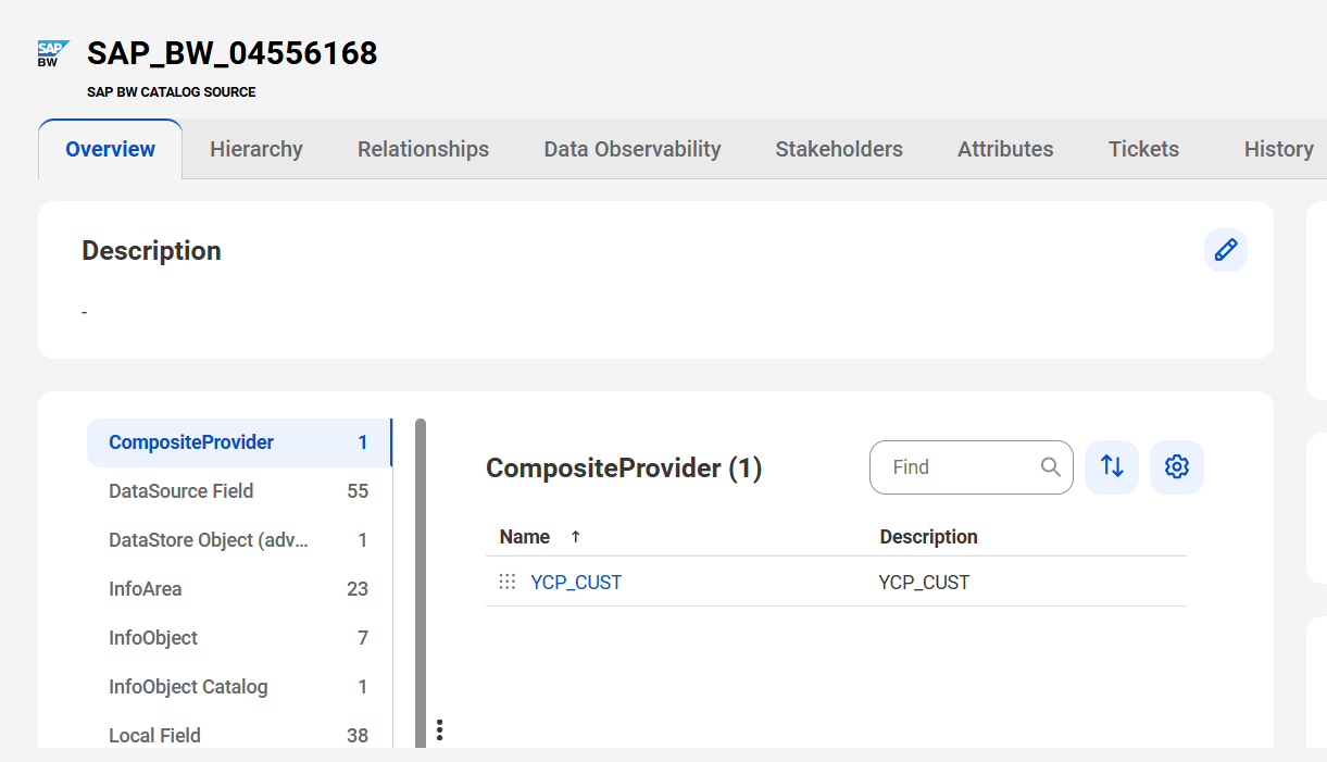 A sample SAP Business Warehouse asset page with tabs that allow you to view the asset.