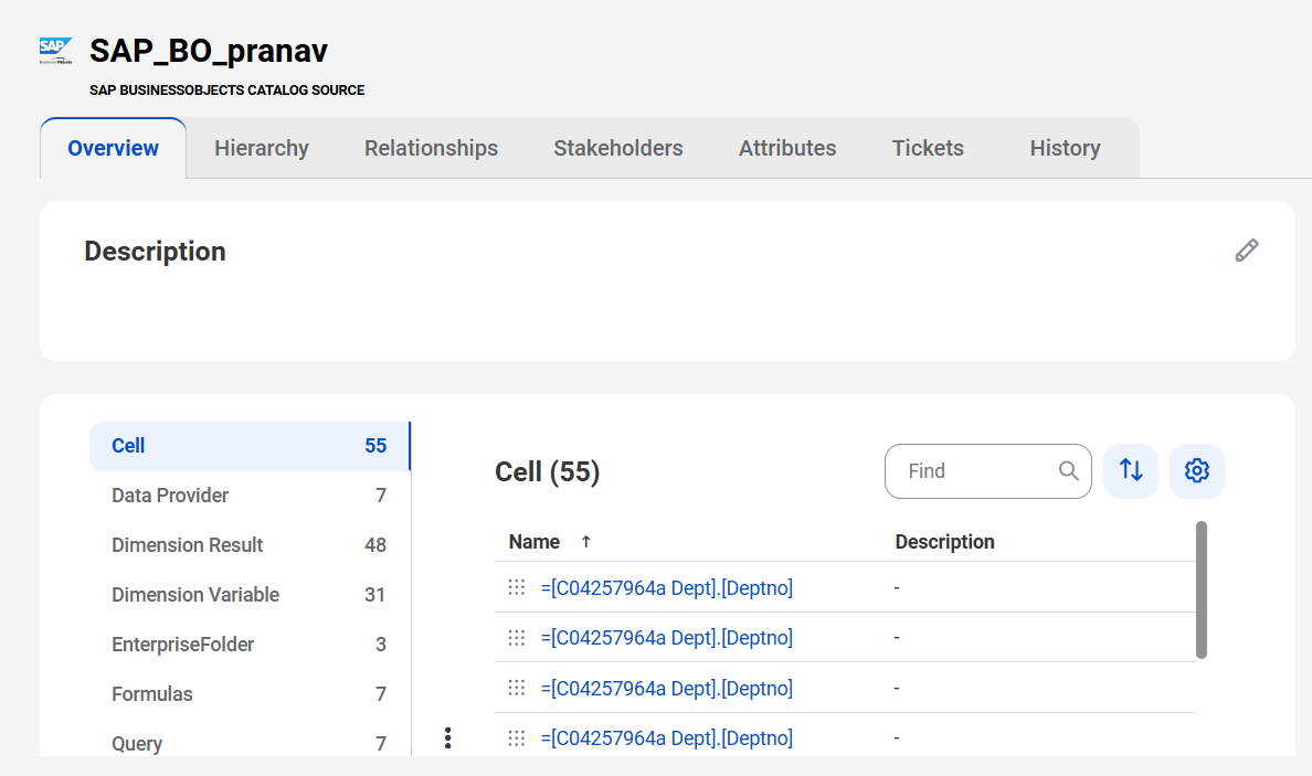 The image shows a sample SAP BusinessObjects asset page with tabs that allow you to view the asset.