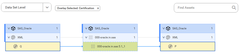 The data set level lineage diagram starts at the Q source table and shows how the data flows to the target P table.