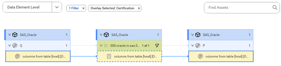 The data element level lineage diagram starts at the Q source table and shows how the data flows to the target P table.