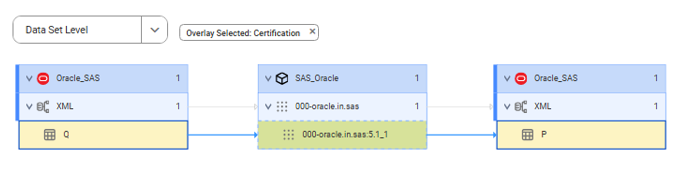 The data set level lineage diagram starts at the Q source table and shows how the data flows to the target P table.