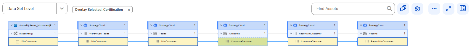The data set level lineage diagram starts at the DimCustomer source table and shows how the data flows to the target ReportDimCustomer report after connection assignment.