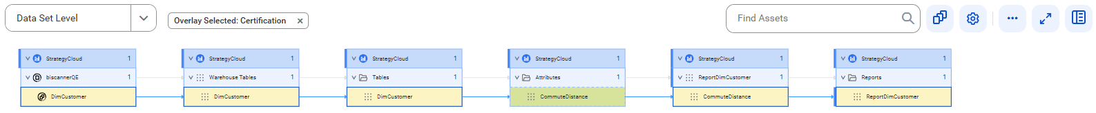 The data set level lineage diagram starts at the DimCustomer source table and shows how the data flows to the target ReportDimCustomer report before connection assignment.