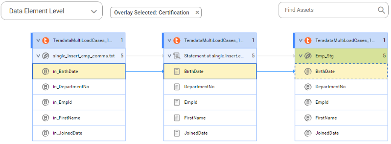 The data element level lineage diagram shows a data element level lineage that gets data from the in_BirthDate data asset and inserts it into the BirthDate data asset before connection assignment.