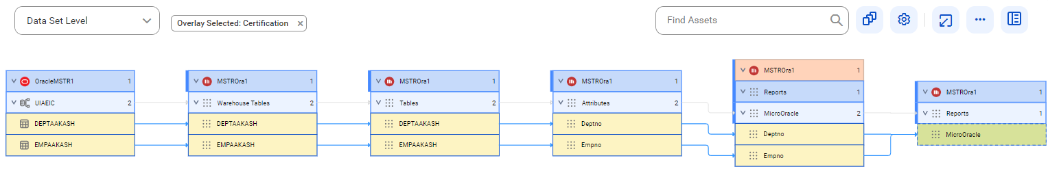 The data set level lineage diagram starts at the Oracle source system, connects to the MicroStrategy source system, and provides the Deptno and Empno attributes from tables to the target MicroOracle report.