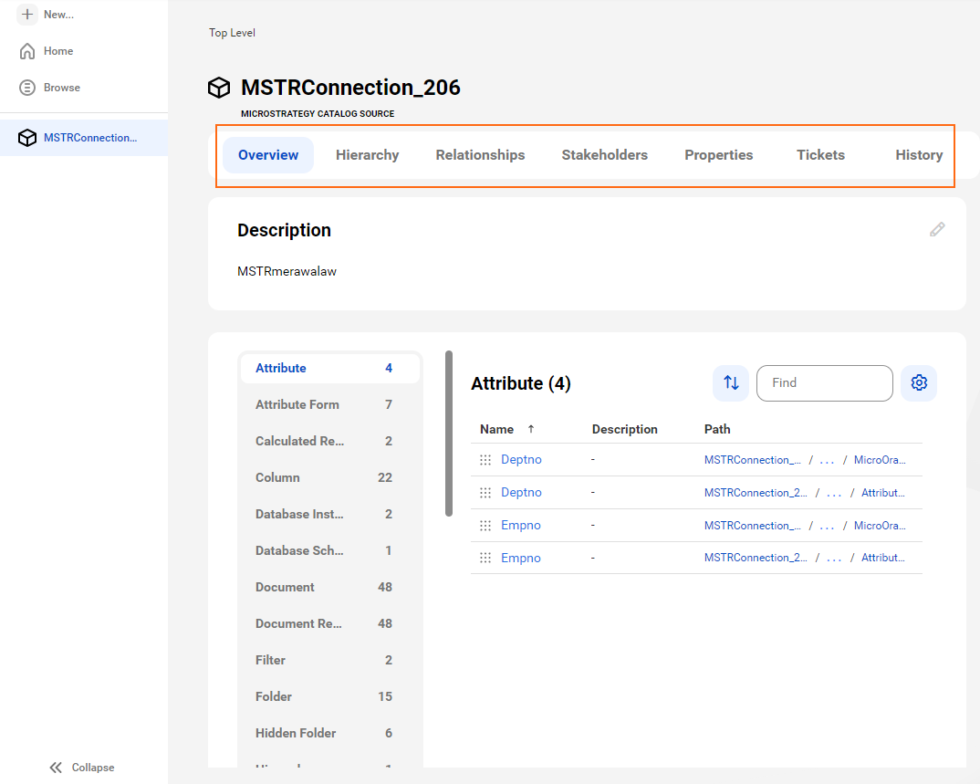 The image shows a sample MicroStrategy asset page with tabs that allow you to view the asset.