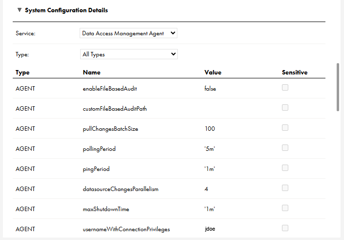 The image shows the Data Access Management Agent service properties. When you view or edit a Secure Agent and select the Data Access Management Agent, the Data Access Management Agent properties appear in the System Configuration Details area. In this image, the service type is set to "All Types," and several file, user, and update properties display.