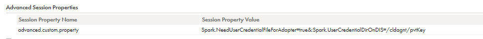 The configured advanced custom property in the mapping task.