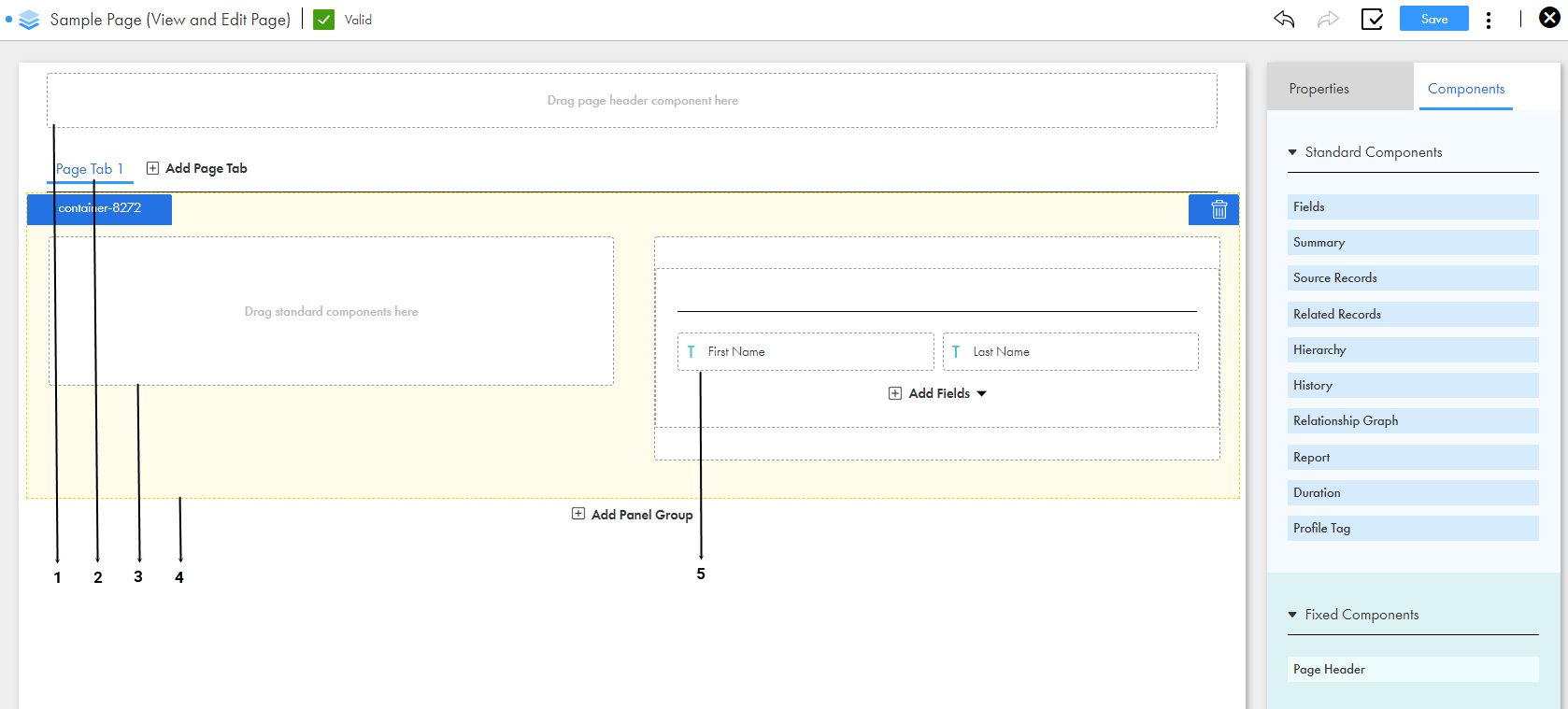 Sample custom page with a page header, page tab, section, panel, and fields.