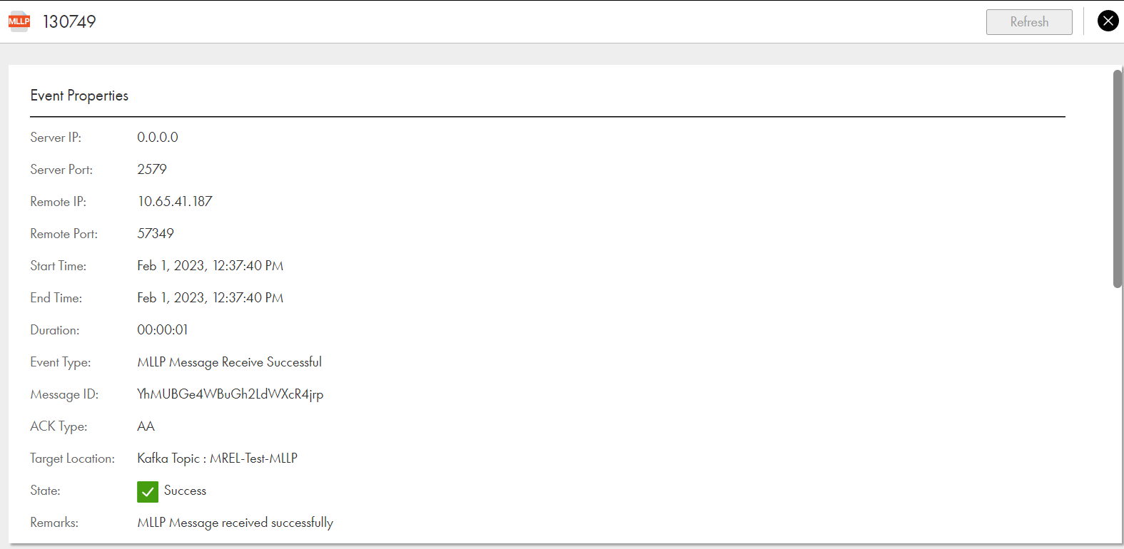 Monitoring MLLP file transfers