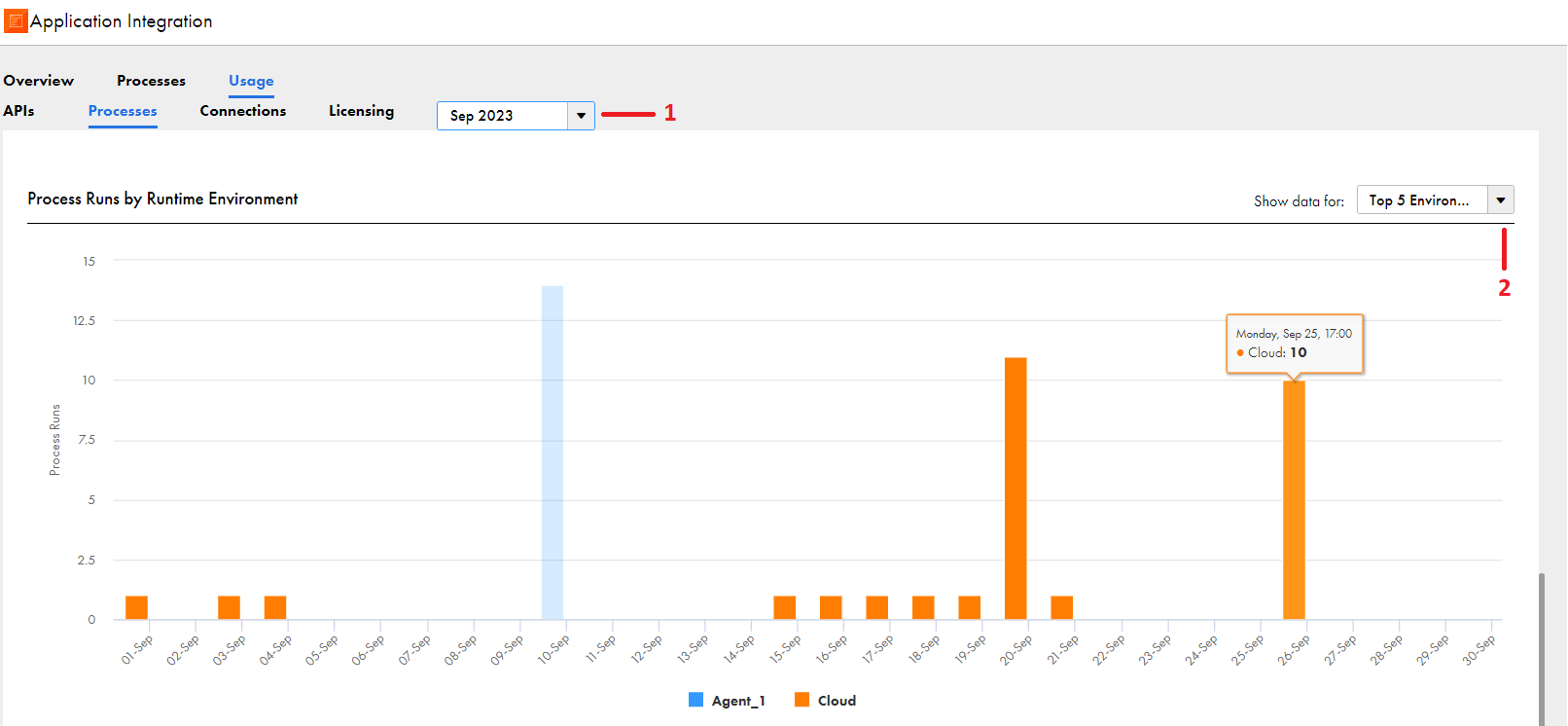 The Process Runs by Runtime Environment panel shows the number of daily process runs for a selected month and runtime environment or runtime environment category.