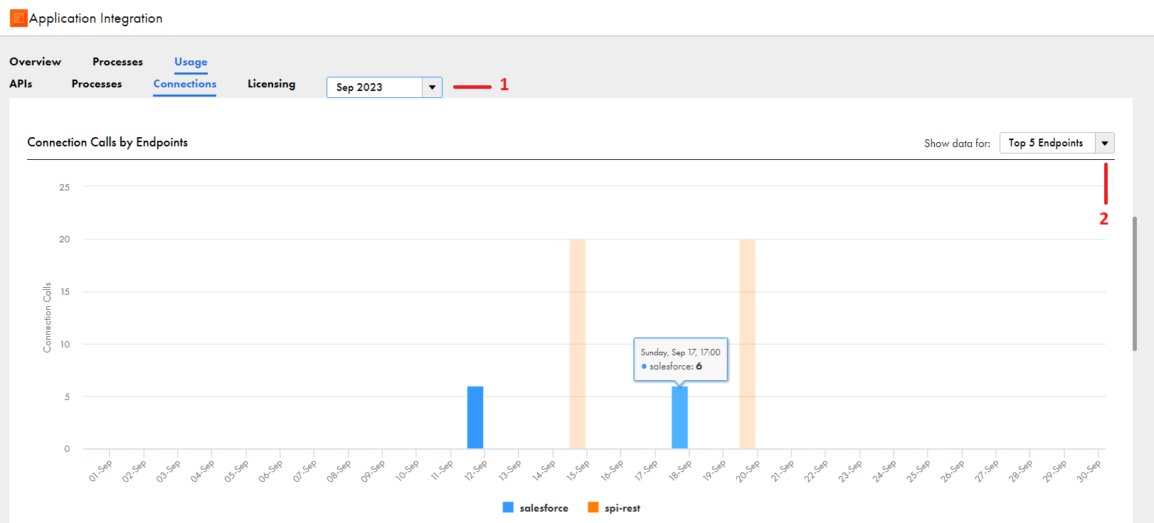 The Connection Calls by Endpoints panel shows the number of daily connection calls for a selected month and endpoint or endpoint category.