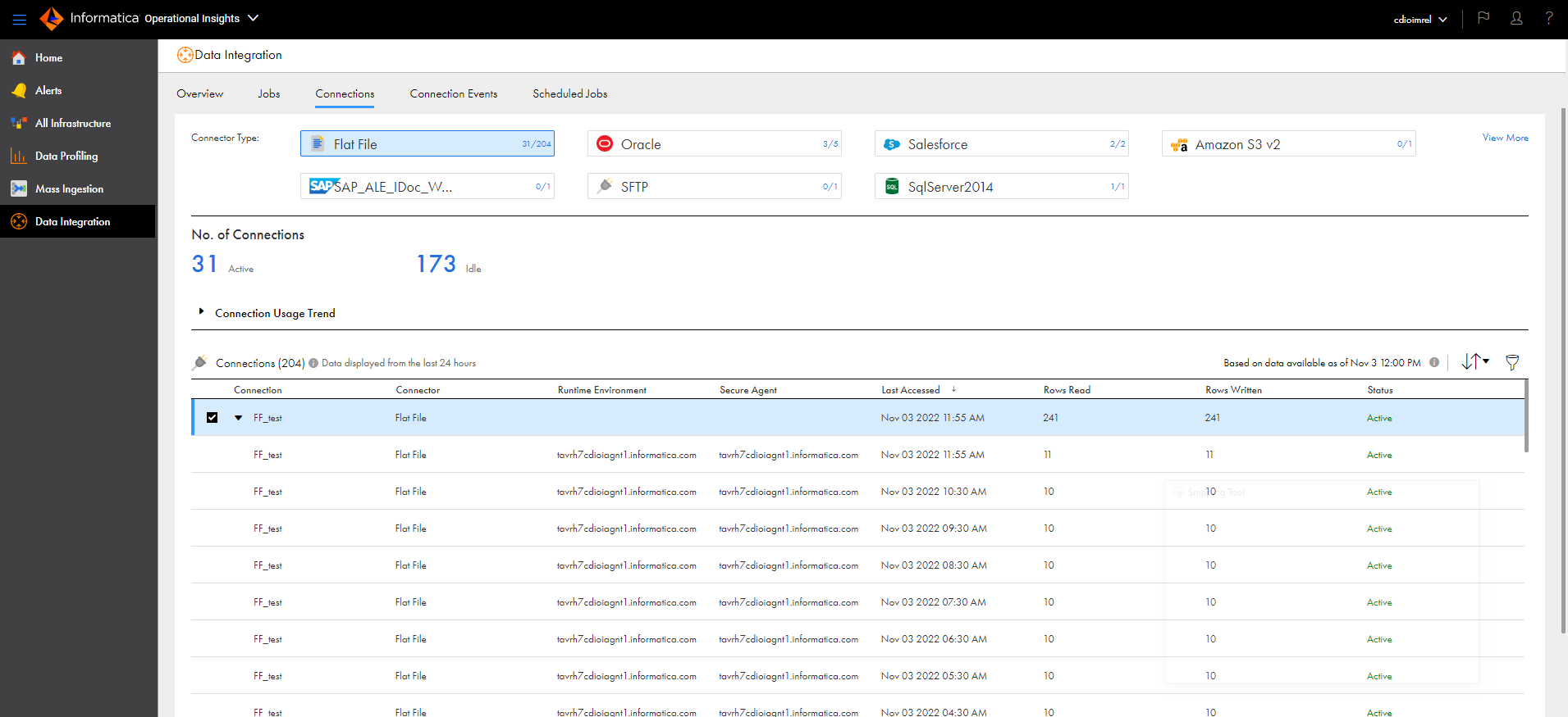 The Connections tab shows seven connector types in the Connector Types area with the flat file connector type selected. The Number of Connections area shows 35 active and 987 idle connections. The connections table shows 204 flat file connections and the name, connector, runtime environment, secure agent, last accessed date, rows read, rows written, and status for each connection.