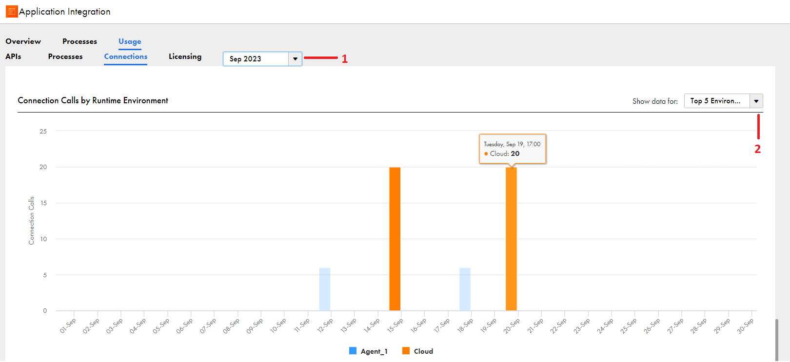 The Connection Calls by Runtime Environment panel shows the number of daily connection calls for a selected month and runtime environment or runtime environment category.