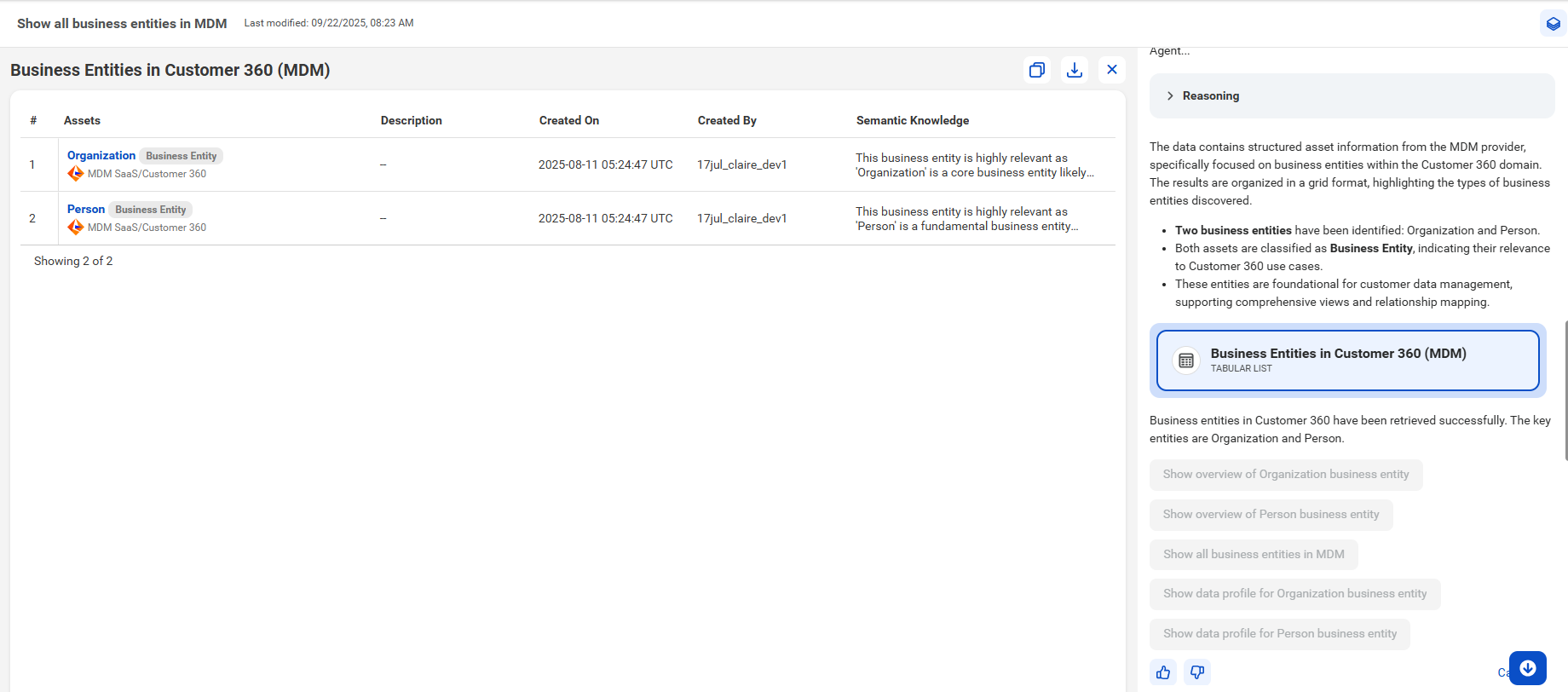 The response displays two business entities, Organization and Person in a tabular view. The right side panel contains contextual information about the business entities and includes prompt suggestions for further analysis.