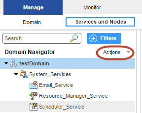 On the Services and Nodes view, the domain named testDomain is selected in the Domain Navigator.