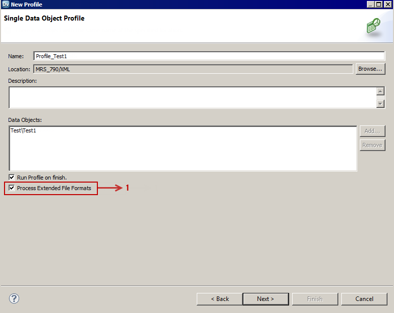 This image shows the New Profile wizard where you must select the Process Extended File Formats (XML/JSON) option.