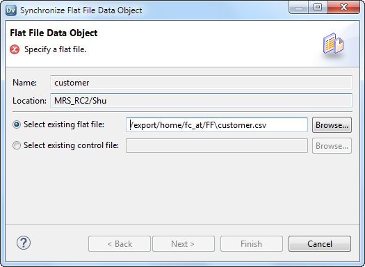 The image shows the synchronize flat file data object wizard.