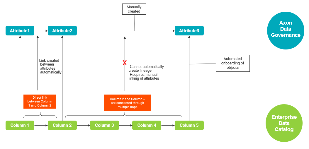 The image shows the automated lineage creation between attributes.