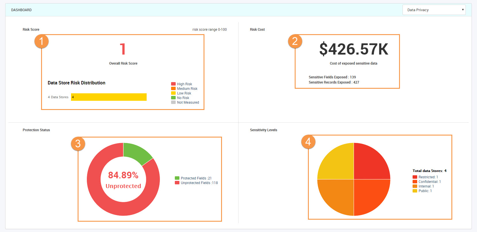 The Data Privacy dashboard for a system shows the following privacy metrics: Risk Score, Risk Cost, Protection Status, and Sensitivity Levels.