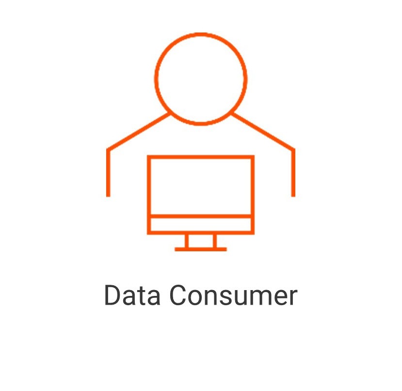 Icon of the data consumer