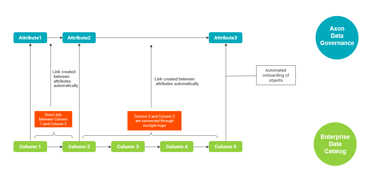 The image shows the automated lineage creation between attributes.