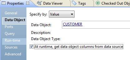 Select the option to get data object columns from the data source at run time in the Data Object tab.