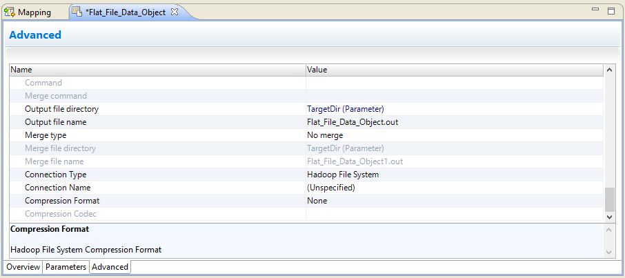 This image shows the Advanced tab for a flat file data object. The connection type is Hadoop File System. The properties for the compression format and compression codec appear at the bottom of the property list.