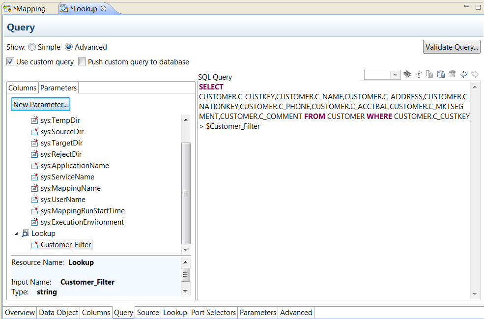 The Query tab shows the Advanced option. The default query is in the right panel. The left panel shows a Columns tab and a Parameters tab. The Parameters tab is selected. It shows a list of system-defined parameters and one transformation parameter called Customer_Filter. Customer_Filter is included in a WHERE clause in the default SQL query.