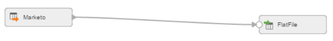 The mapping contains the Marketo lead source object and the flat file target object.
