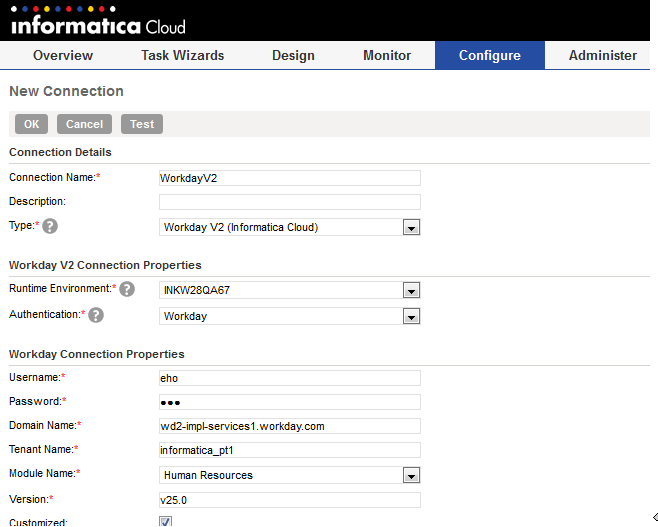 You can view the connection parameters for the Workday connection.