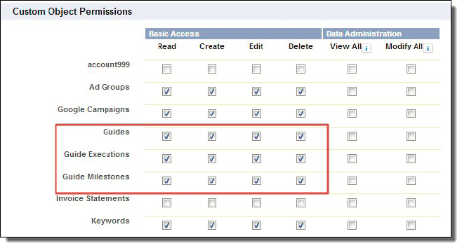 Custom Object Permissions