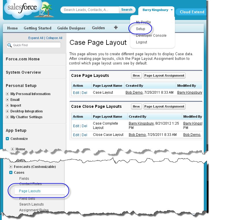 Case Page Layout page