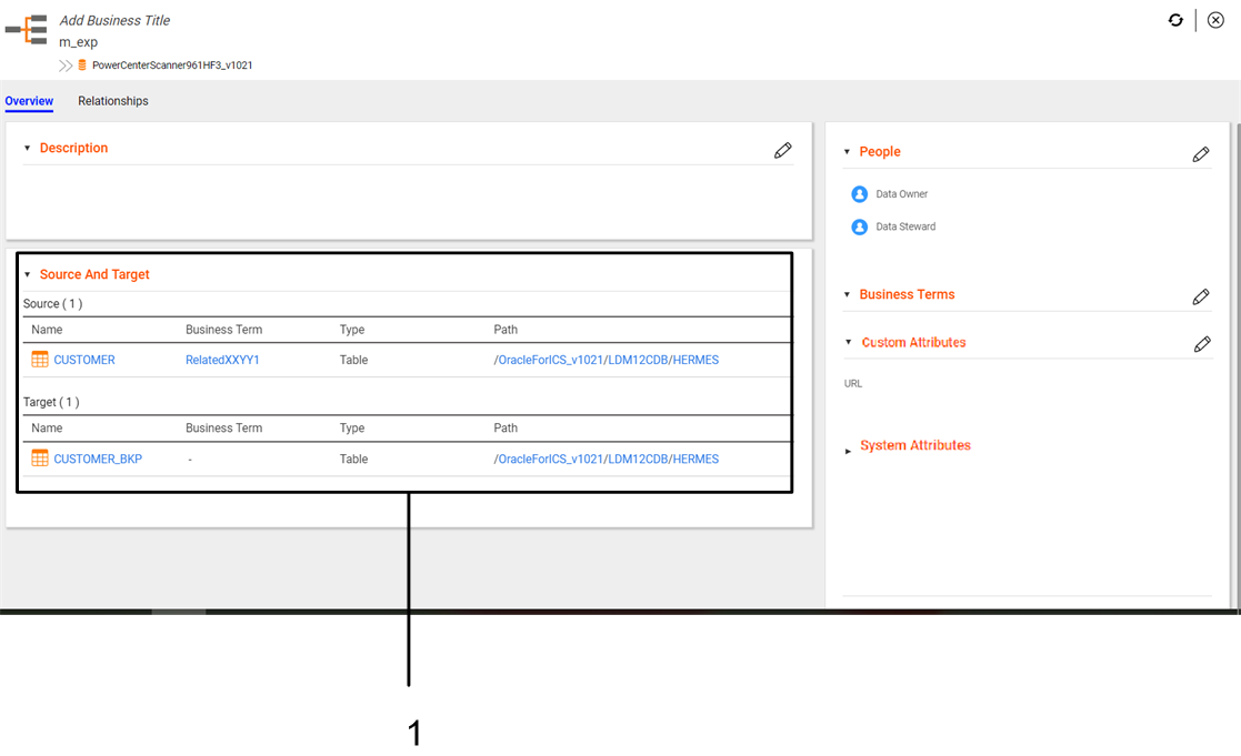 The Overview tab for a mapping displays details about the mapping. The view displays information, such as system attributes, custom attributes and source and target assets that the mapping contains.