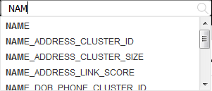 When you enter the characters "NAM" into the Search box, Enterprise Data Catalog suggests assets with names that start with the characters "NAM,” such as NAME, NAME_ADDRESS_CLUSTER_ID, NAME_ADDRESS_CLUSTER_SIZE, and NAME_ADDRESS_LINK_SCORE.
