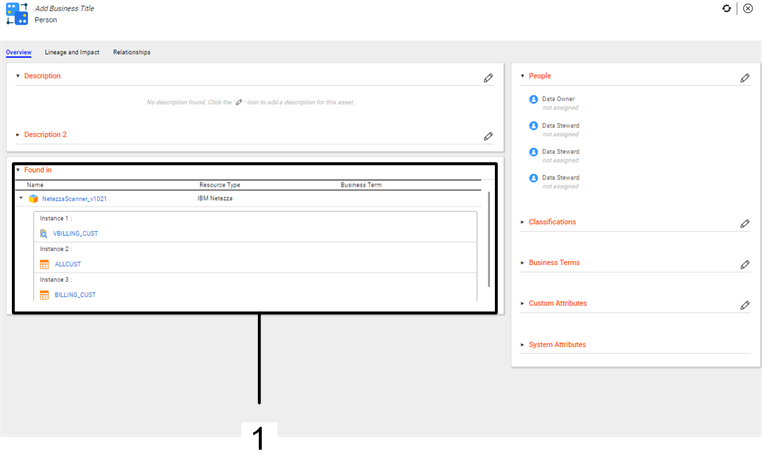 The Overview tab for a Composite Data Domain displays information about the assets on which the composite data domain is inferred, overview of the composite data domain, and custom attributes.