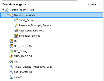 The Domain is expanded in the Domain Navigator. The Domain contains a system services folder, a model repository service, a data integration service, a license, and a node. The System Services folder contain an email service, a resource manager service, REST Operations Hub service, and a scheduler service.