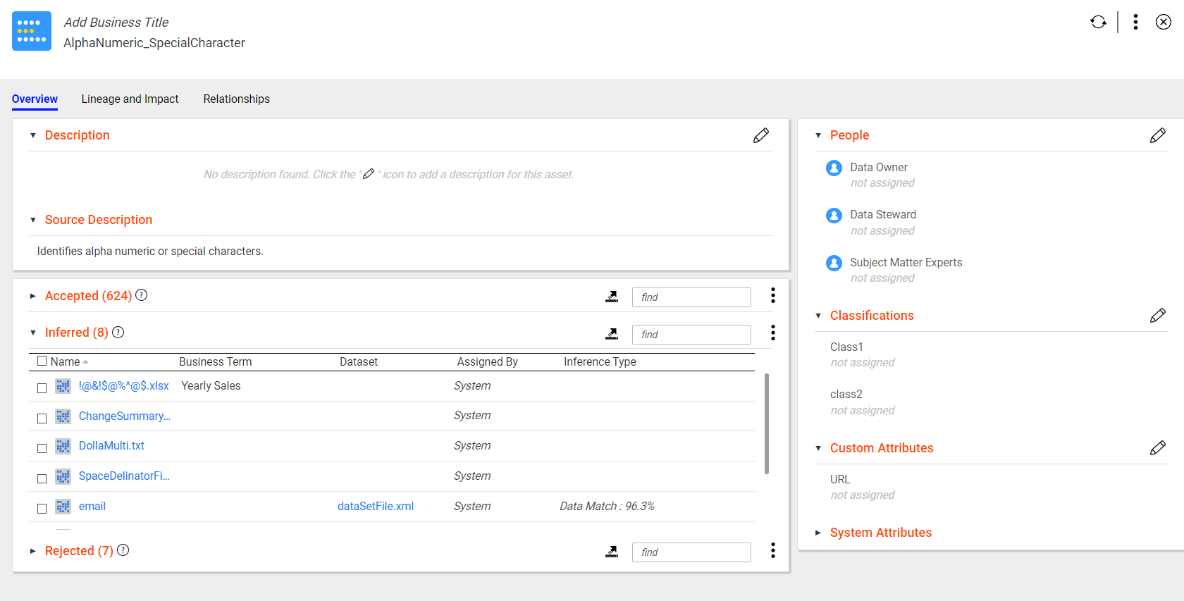 The Overview tab of the AlphaNumeric_SpecialCharacter data domain asset includes the data domain description, source description, accepted, inferred, and rejected columns or fields, users associated with the data domain, classifications, custom attributes, and system attributes.
