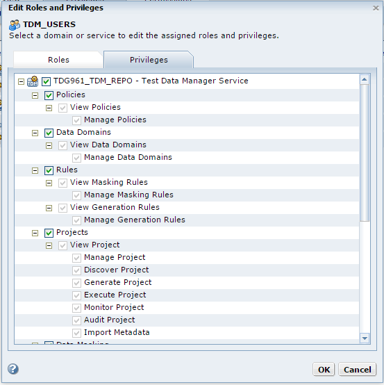 The Edit Roles and Privileges dialog box contains the Roles and Privileges tabs, and the Privilieges tab is selected on the screen. The Test Data Manager Service custom privileges are selected on the screen.